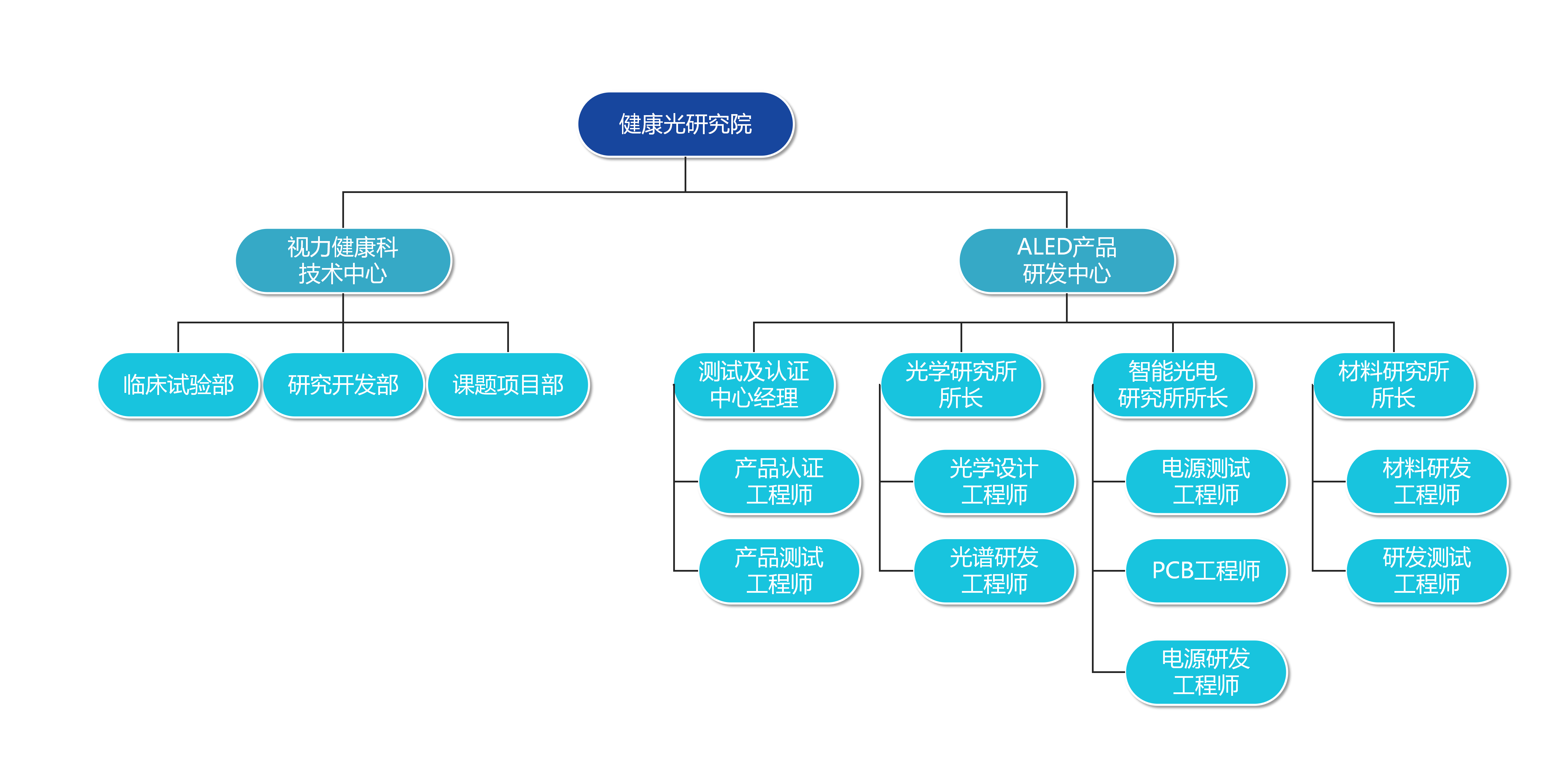 健康光研究院架构图_01(1)